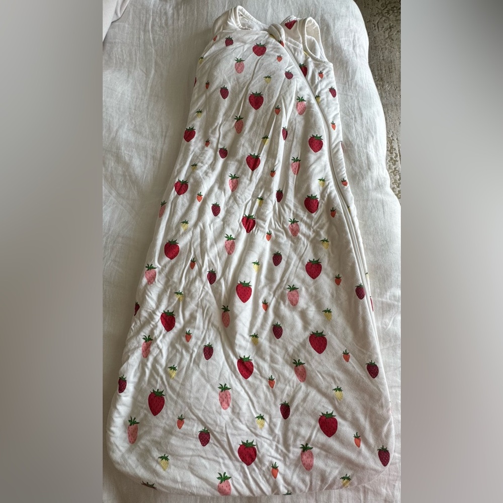 Kyte baby bamboo sleep bag 1.0 tog